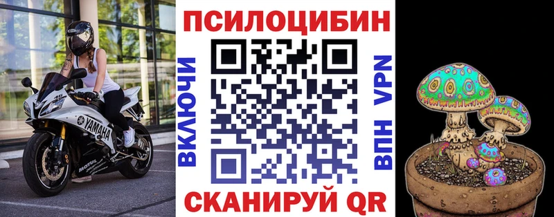 цена наркотик  Приморско-Ахтарск  мориарти какой сайт  Псилоцибиновые грибы мухоморы 
